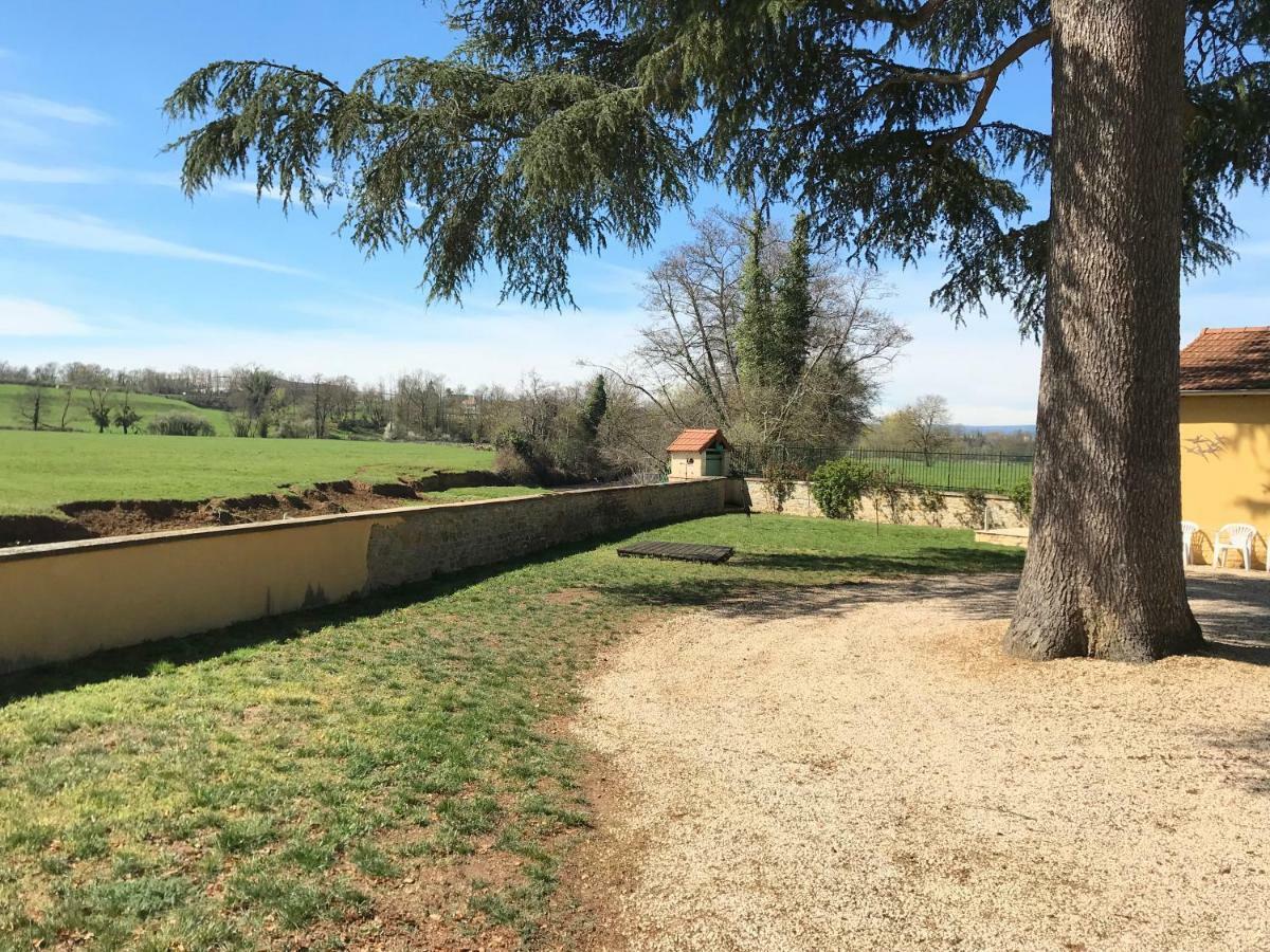 Saint-Nizier-sous-Charlieu Domaine Borchamps.ヴィラ エクステリア 写真